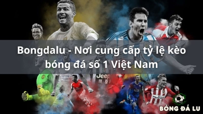 Bongdalu | bongdalu-vip.com - Điểm 10 chất lượng dịch vụ khách hàng